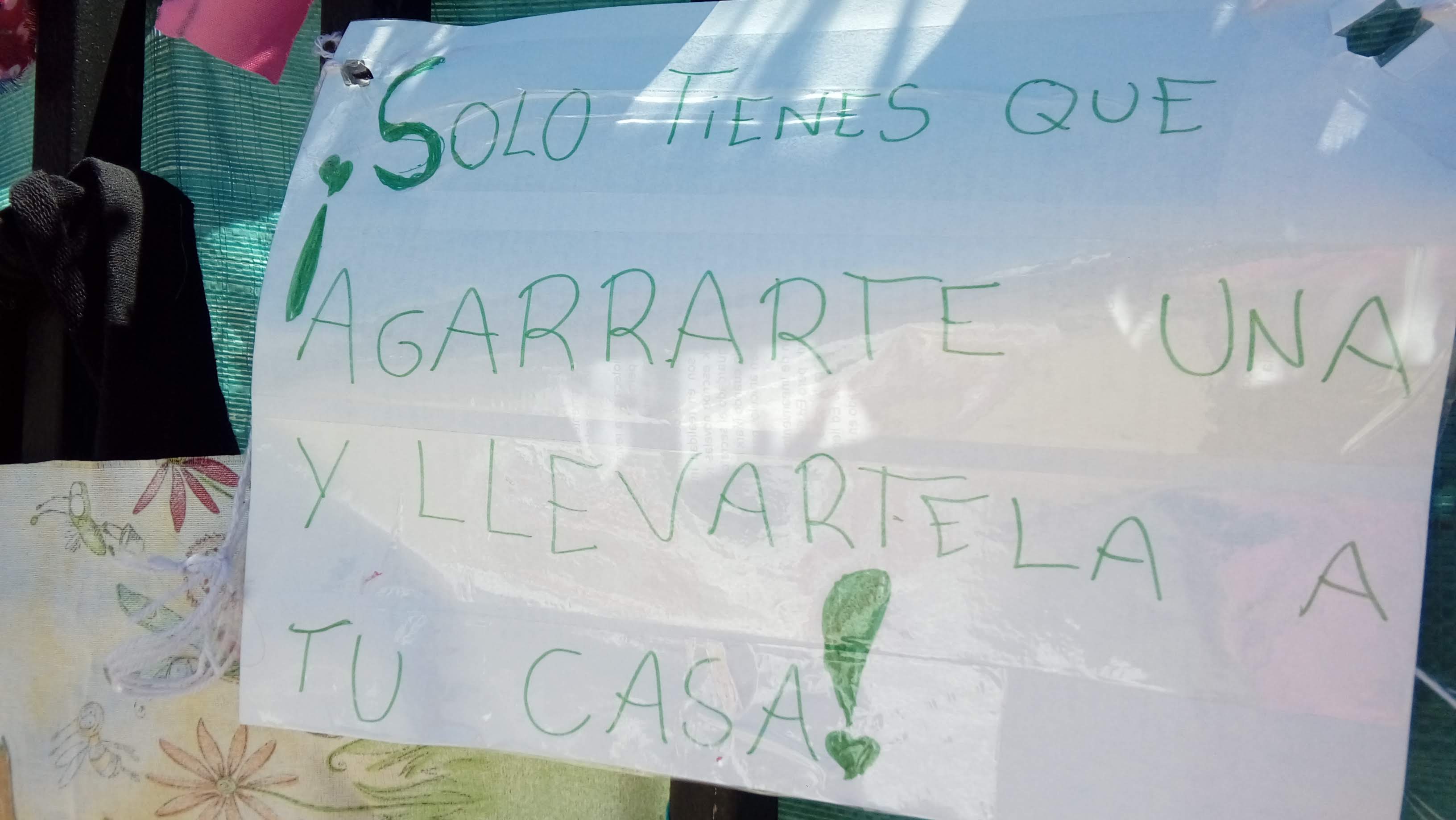 Imagen adicional