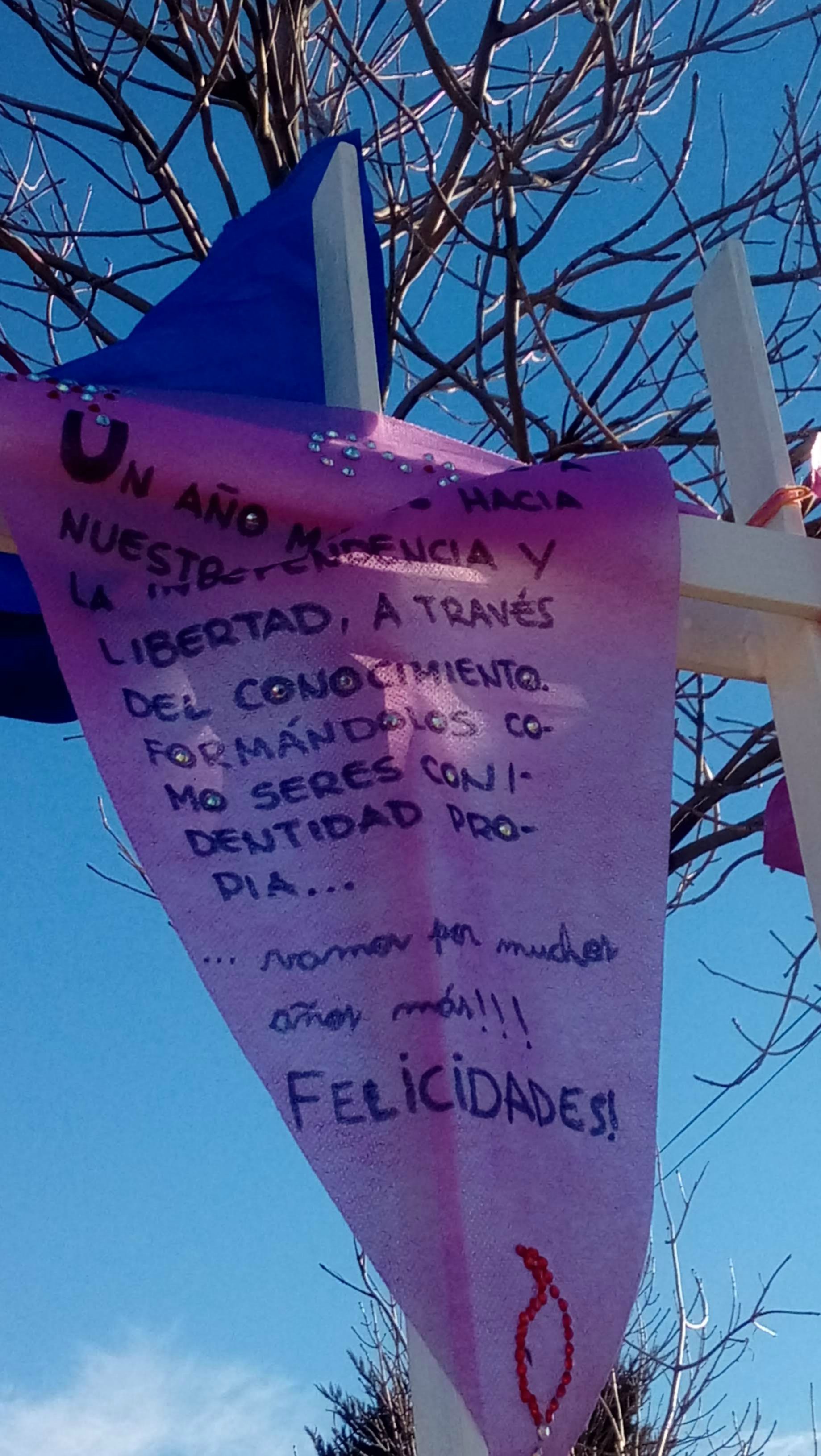 Imagen adicional